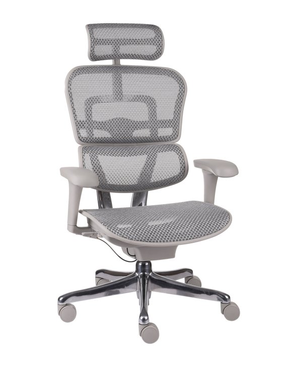 Fotel Ergohuman 2 Basic GS Grey