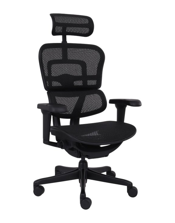 Fotel ergonomiczny Ergohuman 2 Ultra ST BS Black