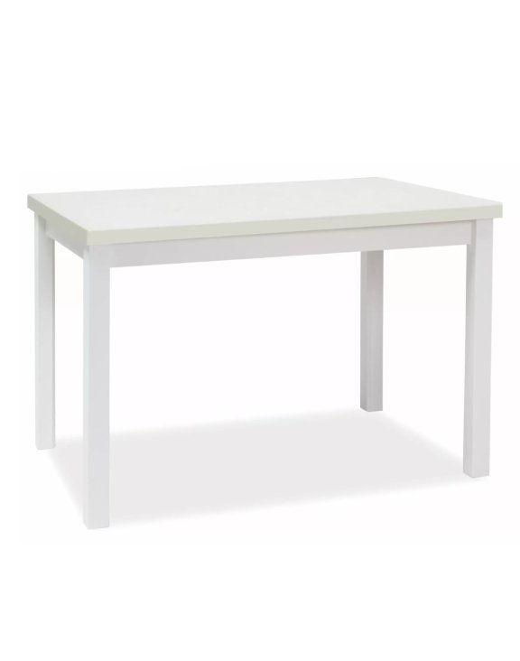 Stół Adam 120x68 Biały Mat