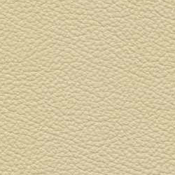 Hermes Ivory