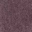 Spectra 05 purple