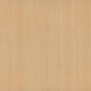 NH Maple