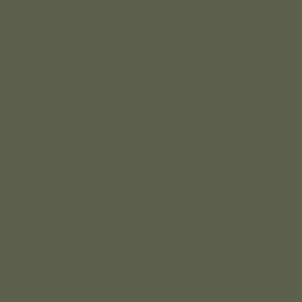 RAL 6003 Olive Green OG