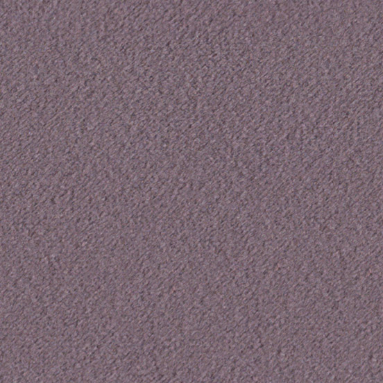 Lavender 71