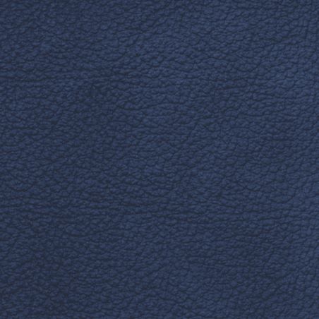 V53N
