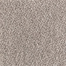 Spectra 10 taupe
