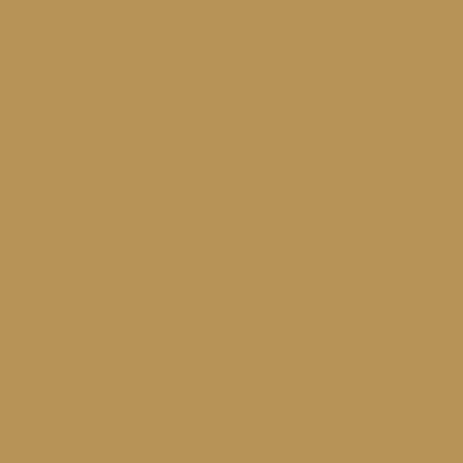 Ochre Yellow RAL 1024