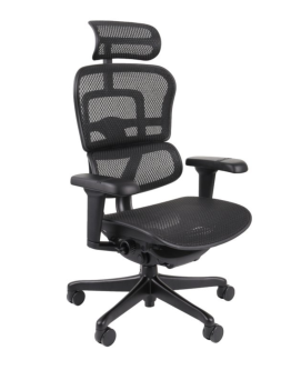 Fotel ergonomiczny Ergohuman 2 Ultra BS Black