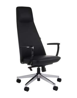 Fotel gabinetowy Nozo