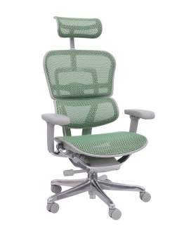 Fotel Ergohuman 2 Elite ST GS Green