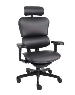 Kožené kreslo Ergohuman 2 Ultra LE01