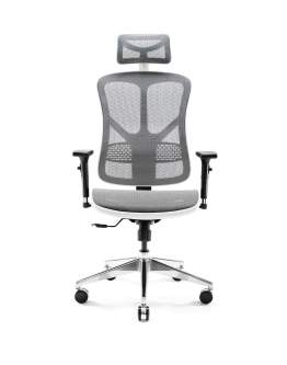Fotel ergonomiczny Diablo V-Basic: biało-szary (970)