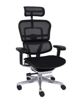 Fotel Ergohuman 2 Elite ST BT Black