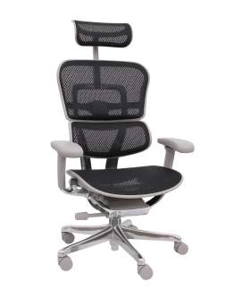 Scaun de birou Ergohuman 2 Elite ST GS Black