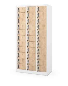 Dulap pentru păstrarea valorilor Oliver alb/stejar sonoma