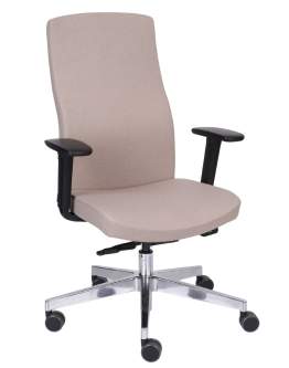 Krzesło Team Pro Chrome