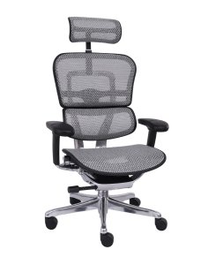 Fotel Ergohuman 2 Elite ST BS Grey