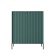 Zielony/czarny (green/black)