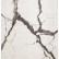 Kremowo-szary (Ivory) 160x230 cm